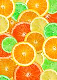 Sliced citrus fruits background