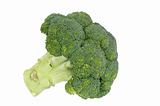 isolated fresh broccoli