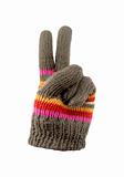 Gloves with peace sign