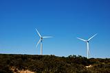 Electrical Generating Wind Mill Farm
