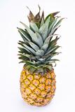 a ripe pineapple on white background