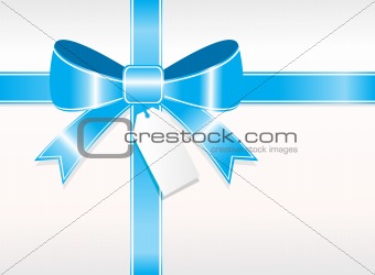 blue ornamental bow isolated on white background