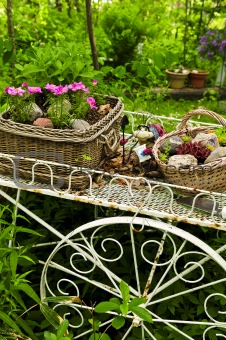 Flower cart in garden