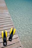 Flippers on a Jetty