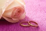Rose and wedding rings on lilac background