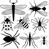 Eight Insect Silhouettes