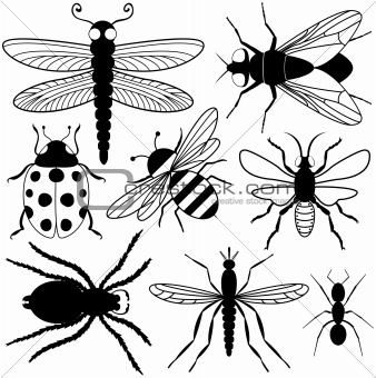 Eight Insect Silhouettes