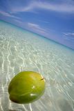 Floating Coconut
