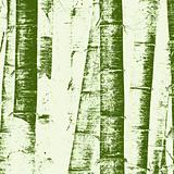 Bamboo grunge