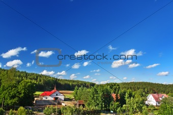 countryside with cottages and forest