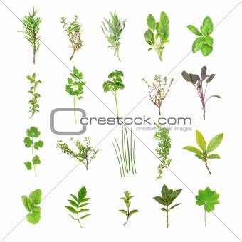 Fresh Herb Selection