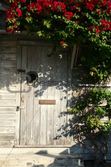 Old wooden Door