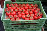 Tomatoes in crates