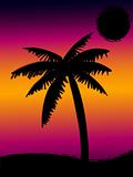 tropical sunset scene