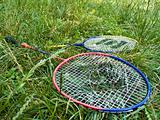 Two badminton rackets in grass