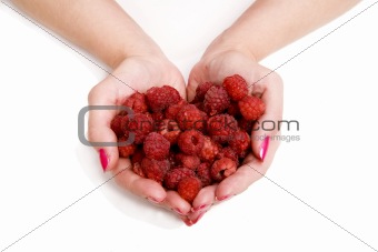 Whole palms of raspberries
