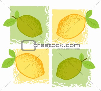 Citrus Wallpaper