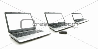 white screen in three laptop