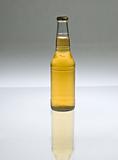 Beer bottle backlit