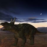 Diceratops-3D Dinosaur