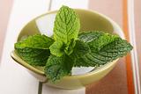 green fresh mint leaves in bowl on tablecloth