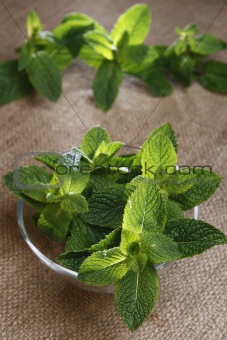 fresh green mint on glass bowl and three twigs on background