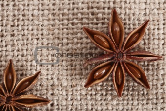 anis star on burlap canvas background, close-up
