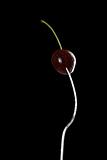 wet cherry with fork over black background refined curves design