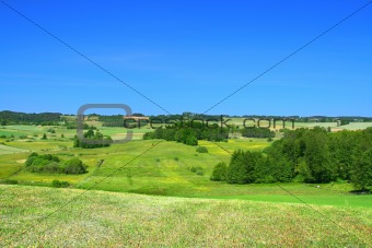 summer landscape with cloudless sky