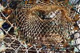 Colorful fishing nets