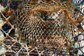 Colorful fishing nets