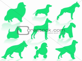 Dogs breeds silhouette