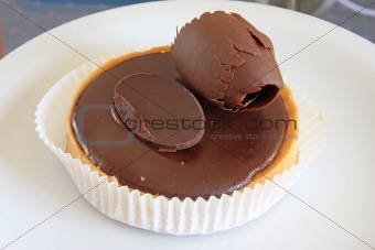 Dark chocolate torte