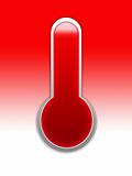 Take Your Temperature Medical Thermometer