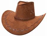 Cowboy's hat