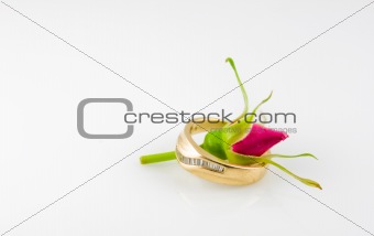 Budding Rose & Ring