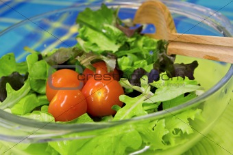 Bright green fresh salad